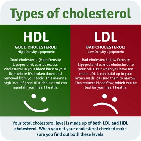 HEALTHY LIFE: New Cholesterol Guidelines Just Released - Wave Magazine Online
