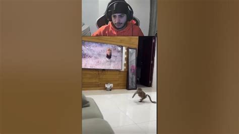 Monkey scared of TV #react #izon #funny #fyp #streamer #reaction # ...