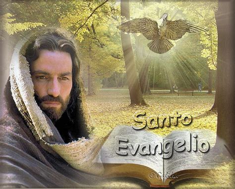 Jesús el Tesoro Escondido: Santo Evangelio 20 de julio de 2013