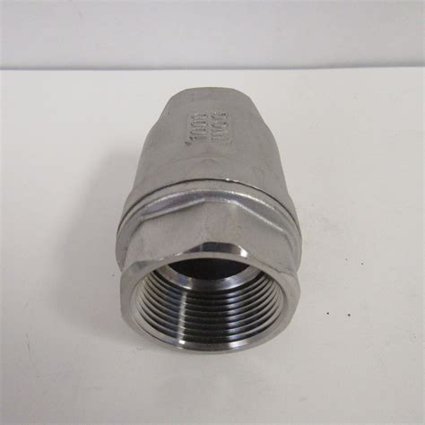 1/2 Inch NPT 304 Stainless Steel Spring Check Valve, 1000 WOG