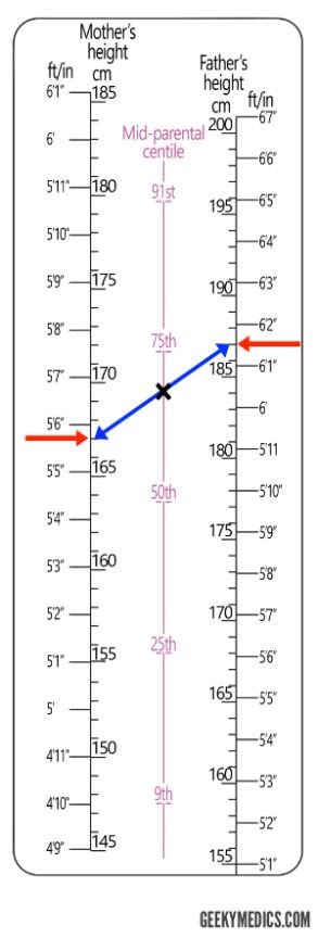 Paediatric Growth Chart Interpretation & Documentation - OSCE Guide | Geeky Medics