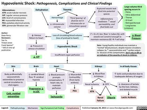 Hypovolemic Shock: Pathogenesis, complications and clinical findings ...