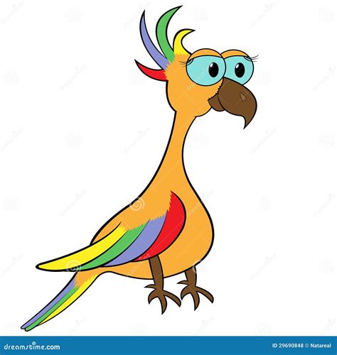 Parrot Cartoon Vector Illustration Royalty Free Stock Photos - Image ...