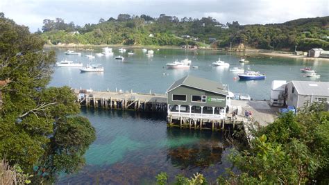 Pin on Stewart island new zealand