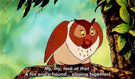 What type of owl do you think Big Mama is from Fox and the Hound? : r/Owls