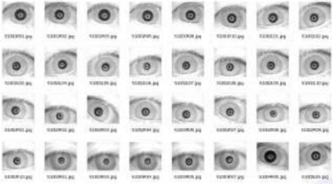 Iris Recognition System | Download Scientific Diagram