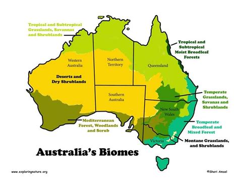 Australia's Biomes by Sheri Amsel, exploringnature.org | Biomes, Australia, Australia map