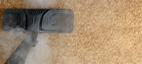 How Long Does a Carpet Take to Dry | Fantastic Services Australia