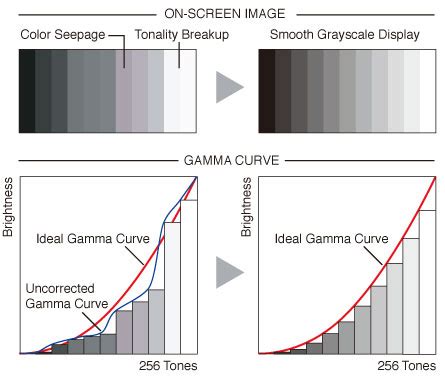 Understanding Monitor Gamma & Gamma Correction | EIZO