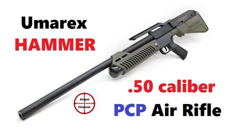 Umarex HAMMER .50 caliber Air Rifle Review (New Video) | Airgun Talk | Airgun Warriors Forum