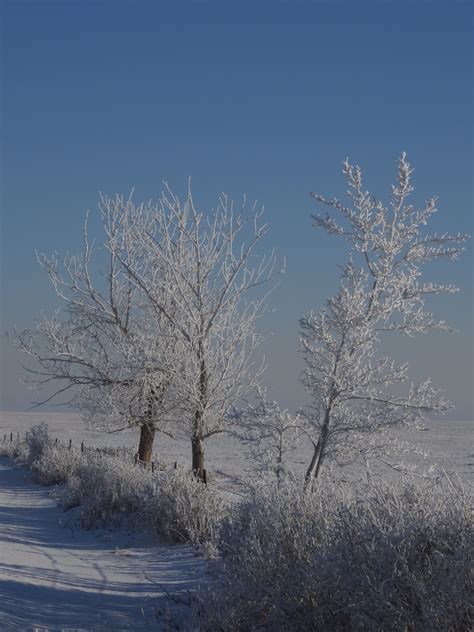 The view from here: A touch of frost