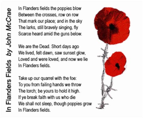 In Flanders Field Rememberance Day GIF - InFlandersField RememberanceDay Flowers - Discover ...