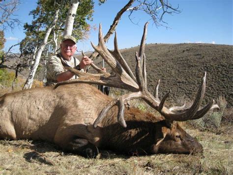 A giant of an elk taken in Utah breaks record with its antlers - The ...