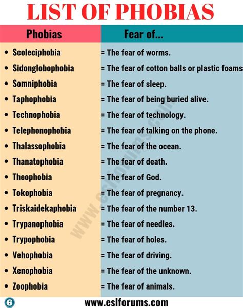 List of Phobias: Learn 105 Common Phobias of People around the World ...