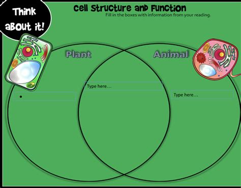 Solved A cell is a basic, functional unit found in all | Chegg.com