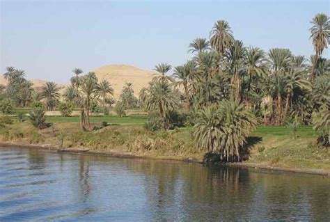 Nile Monitor Facts and Pictures