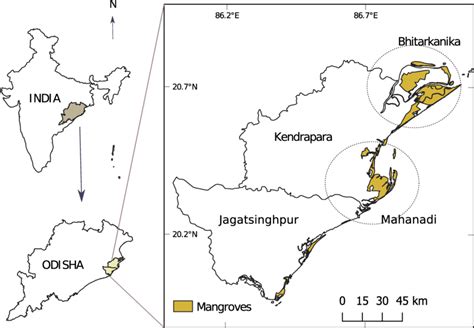 Mangroves patches of Bhitarkanika and Mahanadi | Download Scientific ...