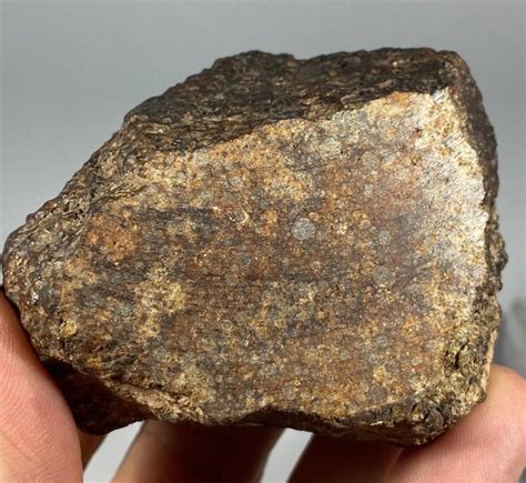 Chondrite meteorite Nwa 12292 - 309 g - (1) - Catawiki