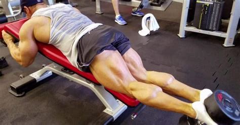 The 15 Best Leg Curl Alternatives for Stronger Hamstrings – Fitness Volt