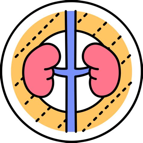 Urology Generic Outline Color icon