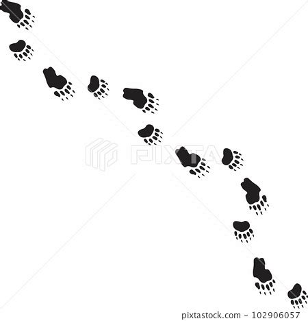 Grizzly Bear Tracks - Stock Illustration [102906057] - PIXTA