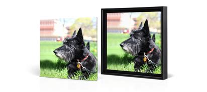 Same Day Pickup Photo Canvas. Walgreens. 16X20 framed canvass $79.99 | Photo canvas, Canvas ...