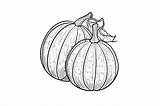 Cantaloupe Coloring Page For Adults Graphic By Forhadx5 · Creative Fabrica sketch template