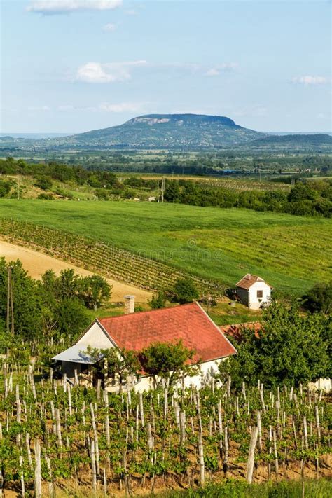 Landscape from Hungary stock image. Image of field, panoramic - 32773153