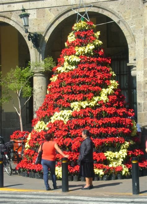 México a través de la mirada de una cubana: Tradición del Árbol de ...