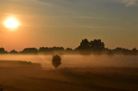 Free picture: sunrise, sunlight, mist, dawn, sun, fog, landscape, dusk, sky, water