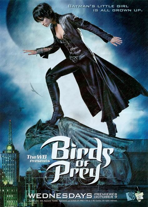 Birds of Prey (TV Series 2002–2003) - IMDb