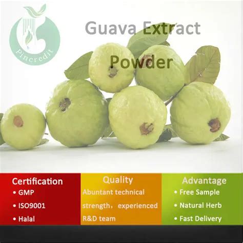 Guava Powder/Guava Leaf Powder/Guava Leaf Extract Powder on Aliexpress.com | Alibaba Group