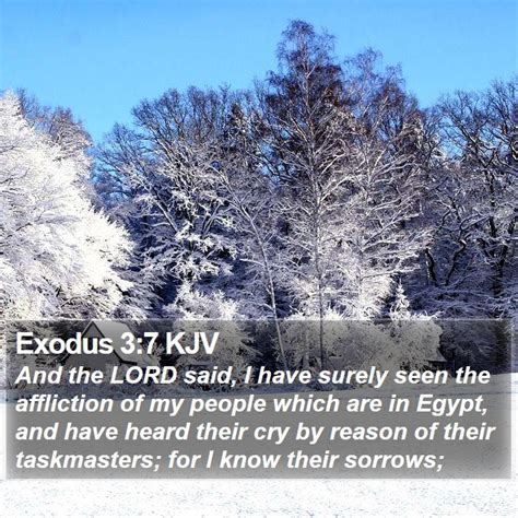 Exodus 3:7 KJV Bible Verse Images