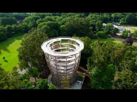 Avondale Forest Park Treetop Walk & Viewing tower - YouTube