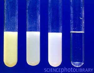 Halide test | Ellesmere Chemistry Wiki | Fandom