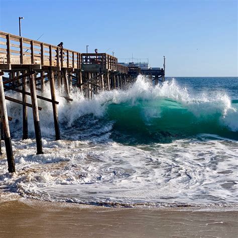 Newport Beach Balboa Pier Fishing Report - All About Fishing