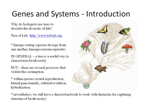 Evolutionary Biology: Evolutionary Biology Major