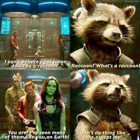 Rocket Raccoon Quotes - ShortQuotes.cc