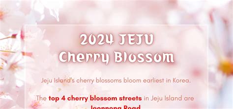 JEJU Cherry Blossom Day-Tour - Klook Stati Uniti