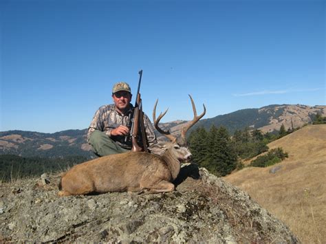 Best Blacktail Deer Hunts | Blacktail Deer Hunting California