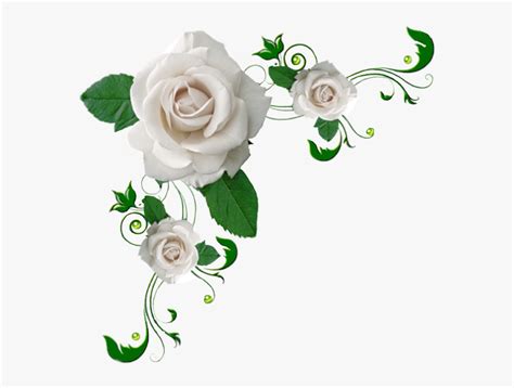 White Flower Corner Borders | Images and Photos finder