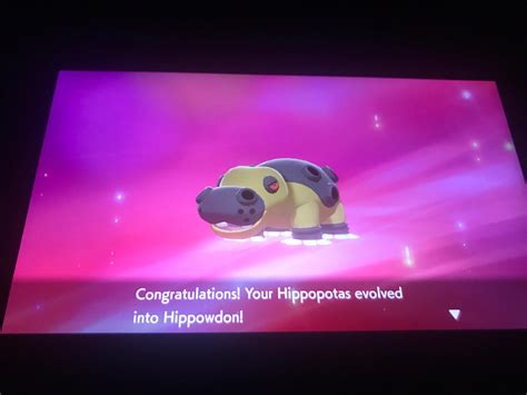 Hippopotas evolution final stage by starwarsfannick on DeviantArt