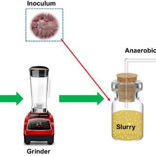 Schematic diagram of complete biogas generation process | Download Scientific Diagram