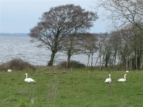 Lough Neagh Islands Nature Reserve | Location | Activeme.ie