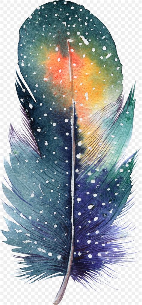 Feather Watercolor Painting Drawing Illustration, PNG, 1300x2786px ...