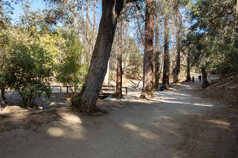 Hiking Griffith Park to The Observatory With Kids In Los Angeles ...