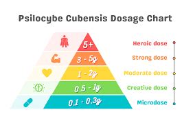 Psilocybin Dosage- A Comprehensive Guide to Scheduling and Dosing
