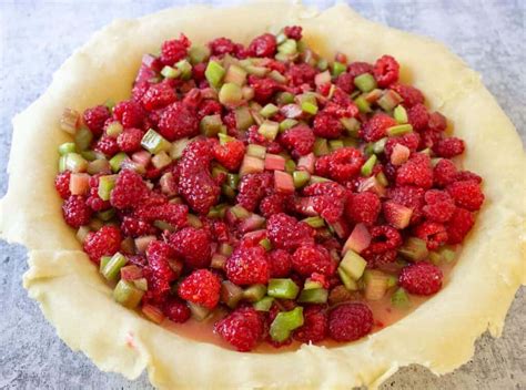 Raspberry Rhubarb Pie - Beyond The Chicken Coop