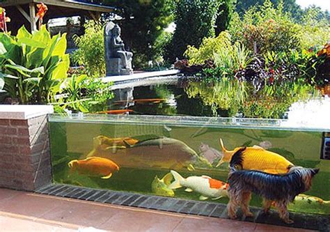 Outdoor aquarium - Little Piece Of Me Piscina Natural, Koi Fish Pond ...