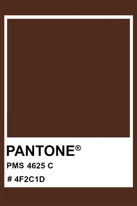 Pin by Naty Max on ideia para coleção in 2023 | Brown pantone, Pantone palette, Pantone colour ...